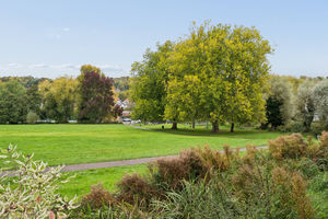 Photo 22- click for photo gallery